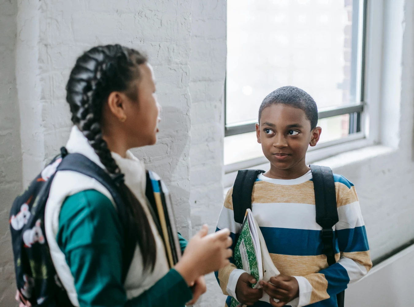 Asset - Background image